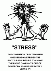 stresssituation