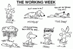 workingweek
