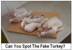 faketurkey