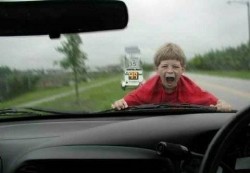 windscreenkid